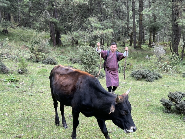 Man in traditional clothing with a cow in a forest setting.
