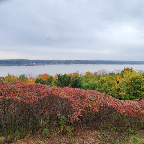 Scenic river view with colorful autumn foliage.