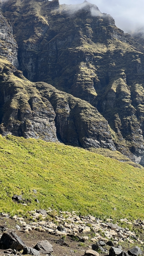       Rocky mountainside with lush greenery and steep cliffs.
  