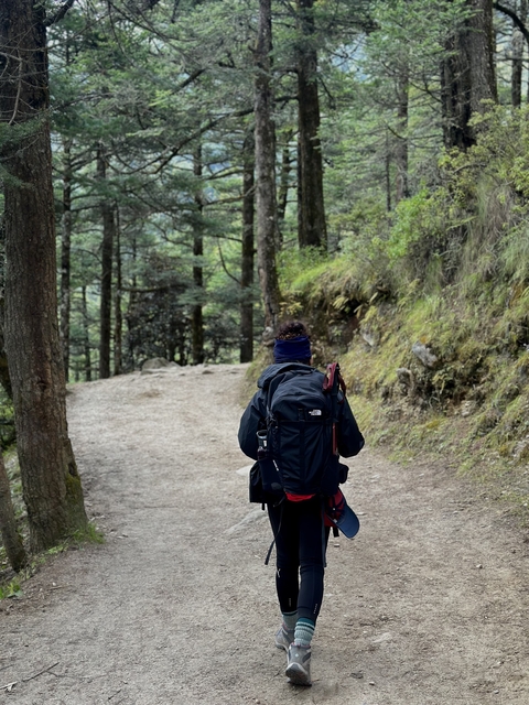       Person walking along a forest trail with a backpack.
  
