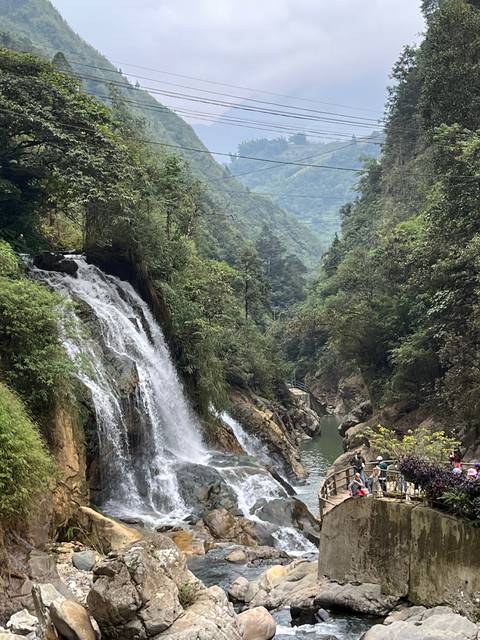 Scenic waterfall with lush greenery and rocks.