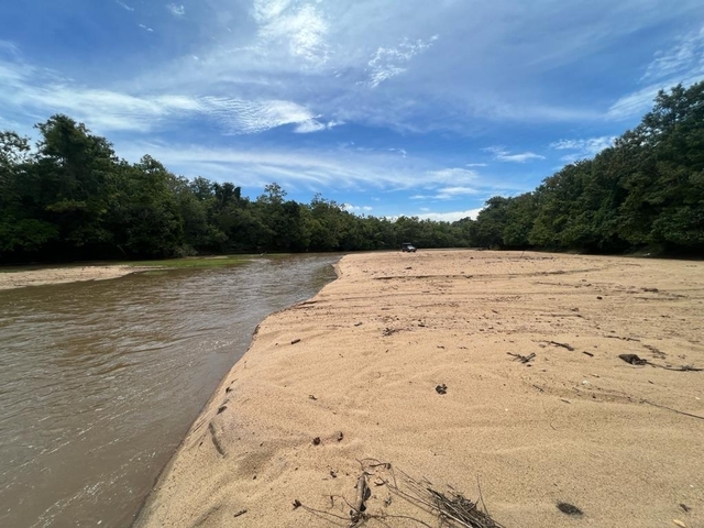 View of a sandy riverbank with a lush forest.