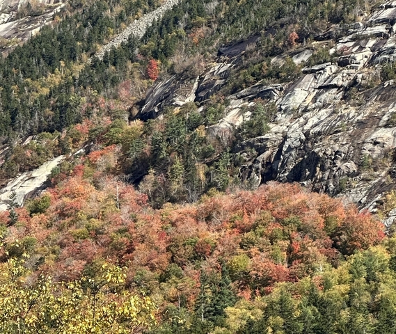 Autumn foliage with rocky hillside.