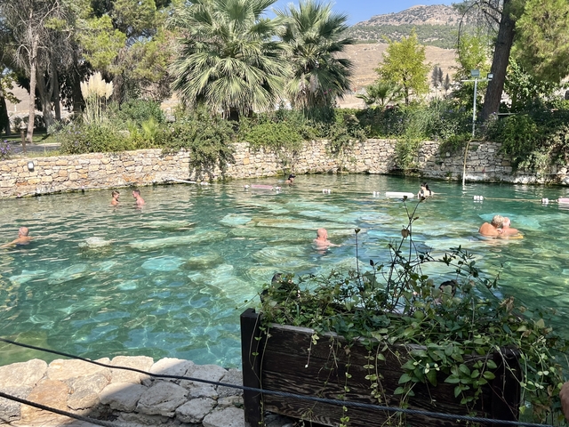       People swimming in a natural pool surrounded by greenery
  