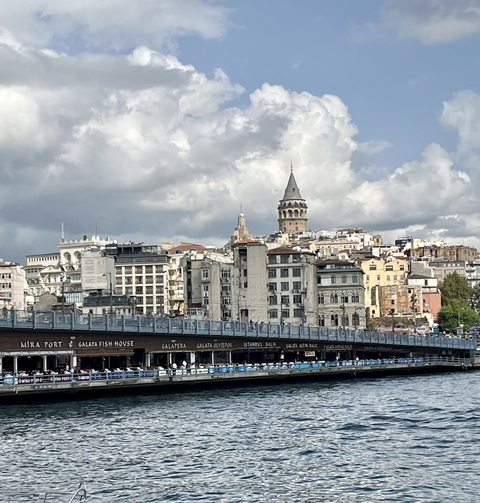       City view with a famous tower and sea in the background.
  