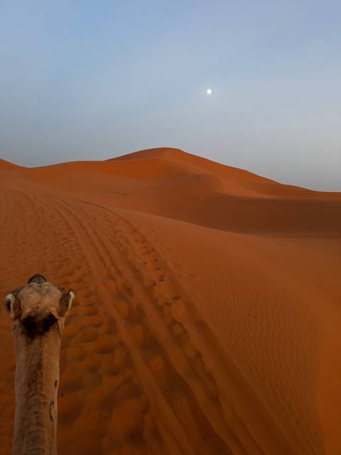 Dunes with a small view of the moon.