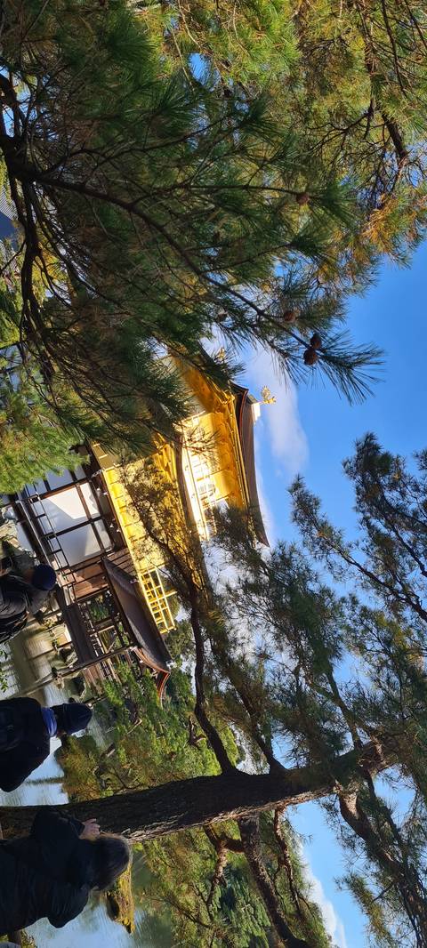       Golden pavilion in a Japanese style garden.
  