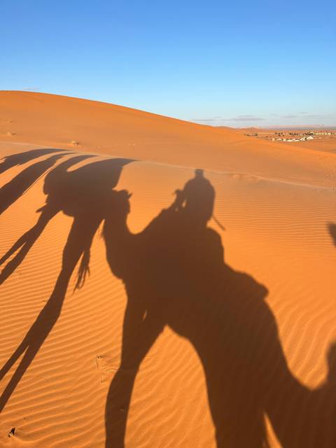       Shadow of a person on camel in the dunes.
  