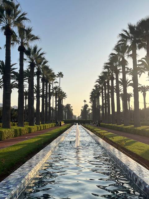       Garden with palm trees and long water fountain.
  