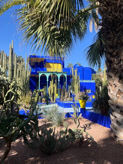       Garden with exotic plants and a blue building.
  