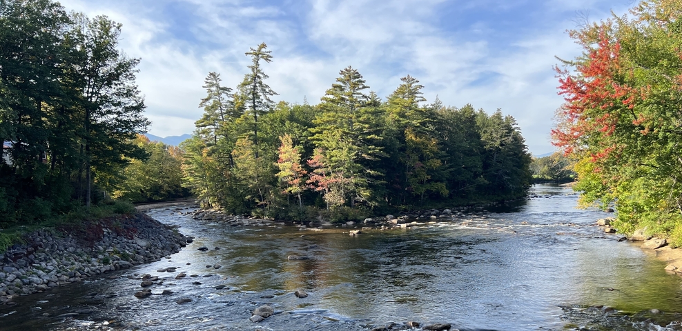       Scenic view of a river surrounded by trees during autumn.
  