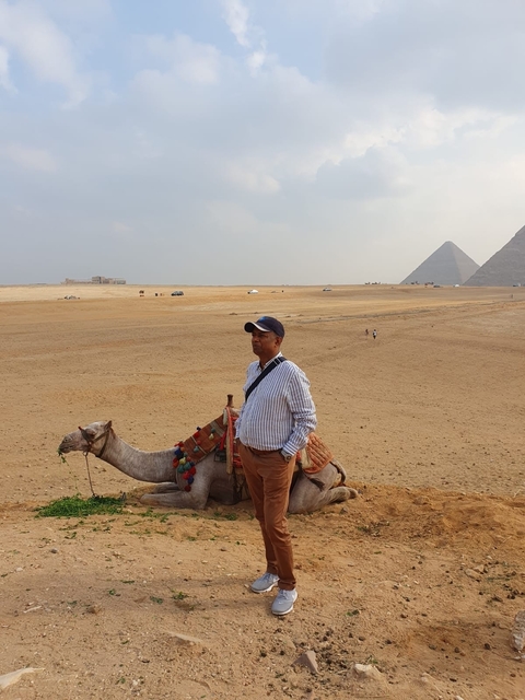 Person on a camel with pyramids in the background.