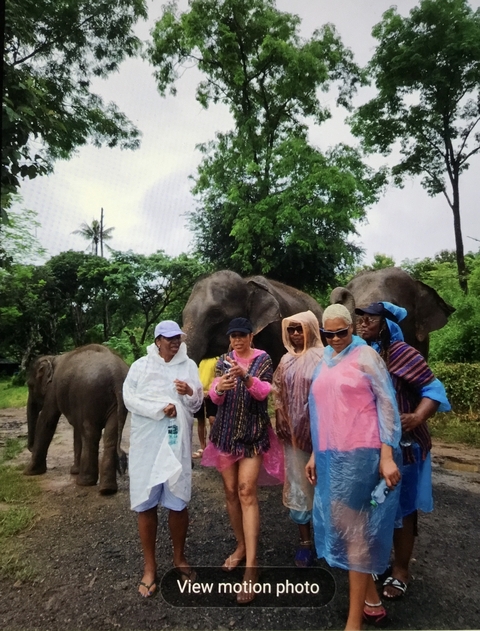 Group wearing ponchos standing in front of elephants.