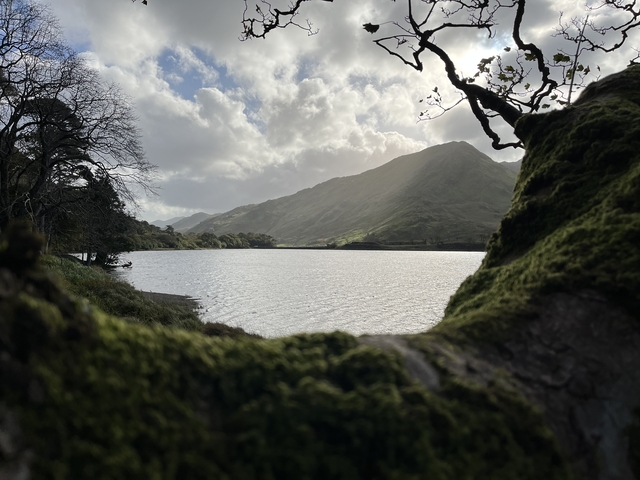 A scenic view of mountains and a lake framed by tree branches.