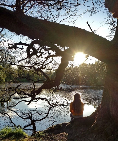 Person sitting by a lake with the sun shining through tree branches.