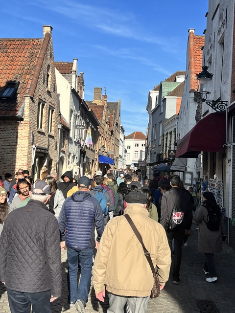       Crowded pedestrian street with many people, buildings on either side.
  