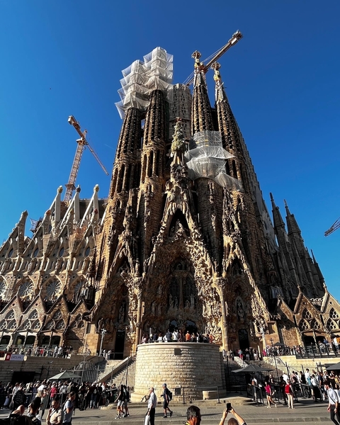 Exterior view of a massive, ornate cathedral under construction.