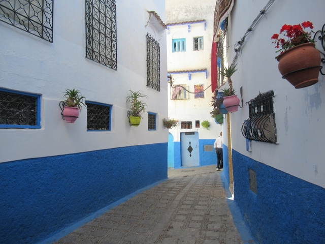       Street with blue-washed buildings and colorful pots.
  