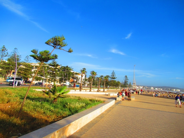       Coastal promenade with people walking and palm trees.
  