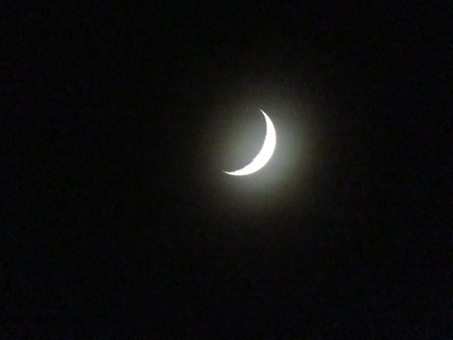       Crescent moon in a night sky.
  