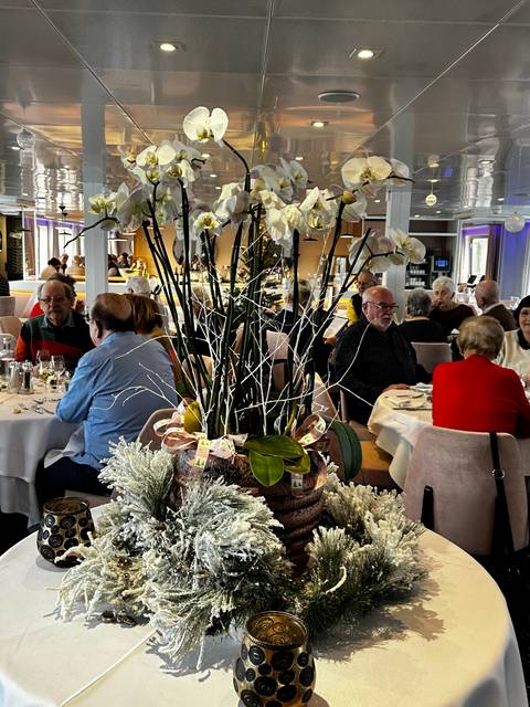 Decorative plants on a table with people in the background.