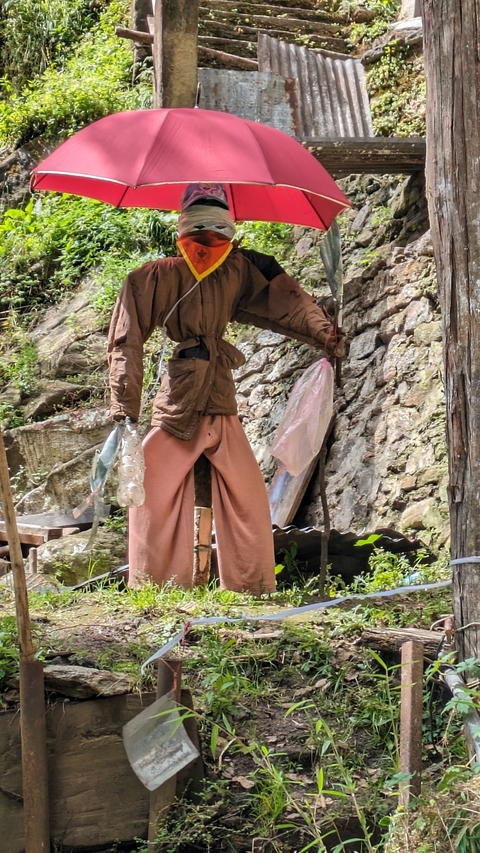       A scarecrow in a garden setting.
  