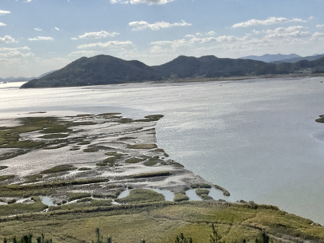       Coastal wetland with mountainous backdrop.
  