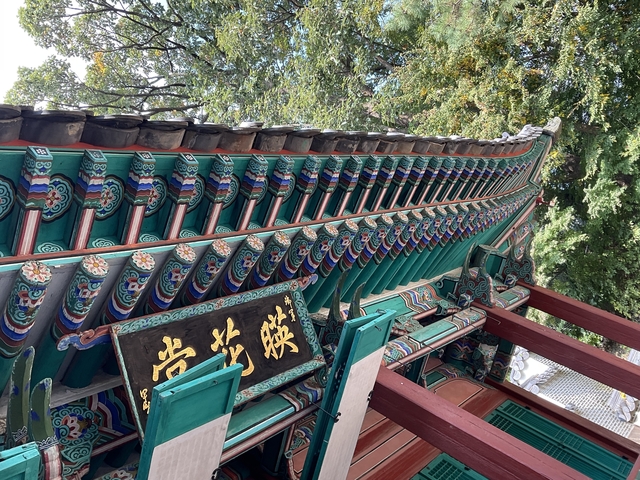       Detailed roof architecture of a traditional Korean building.
  
