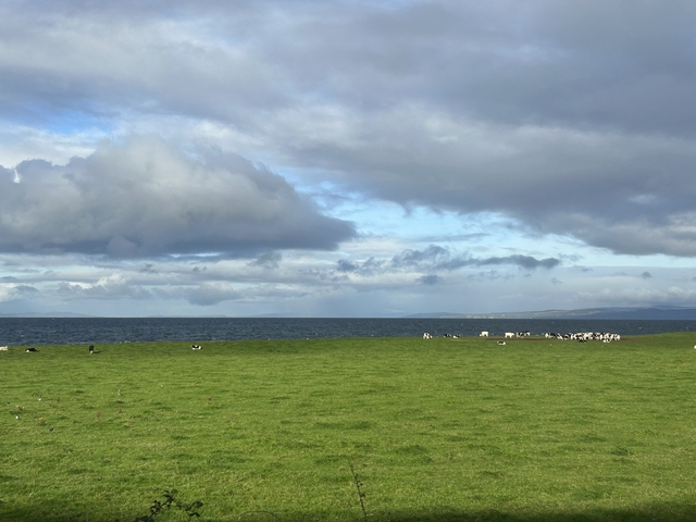 Scenic view of a grassy landscape leading to a body of water.