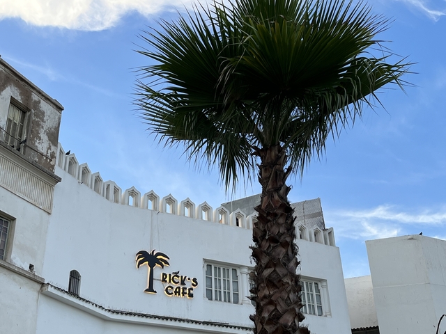       Ricky's Cafe with a palm tree and blue sky.
  