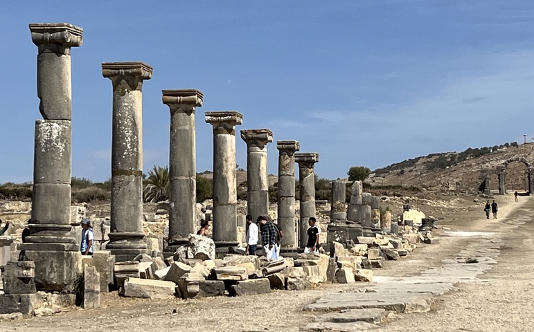       Ancient ruins with standing columns under a blue sky.
  
