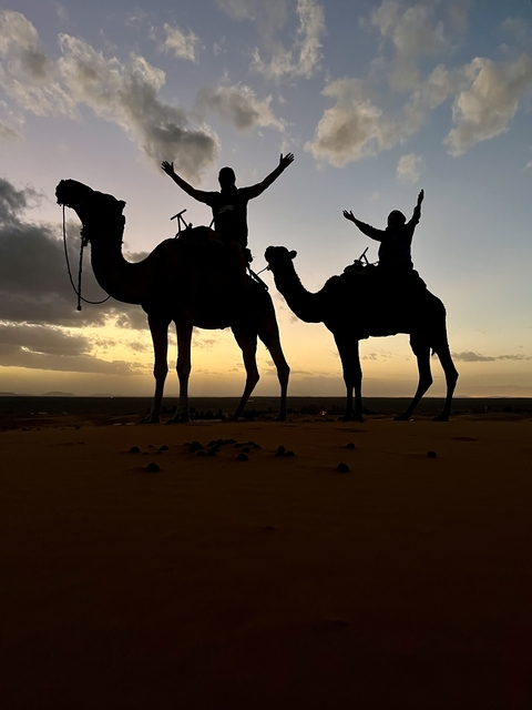       Silhouettes of camels with riders during sunset in a desert.
  