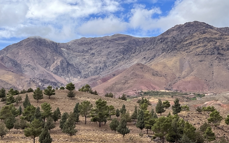 Mountainous landscape with scattered trees.