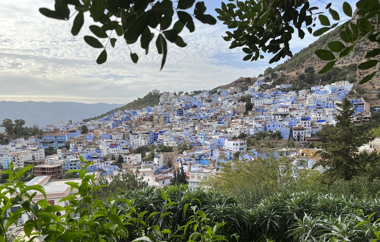       Hillside town with predominantly blue-painted buildings.
  