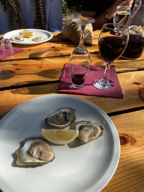Oysters on a plate with wine glasses on a wooden table.