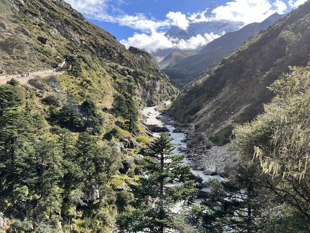 Rugged terrain with a flowing river and trees.