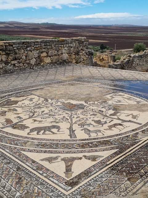 Mosaic site with ancient designs on the ground.