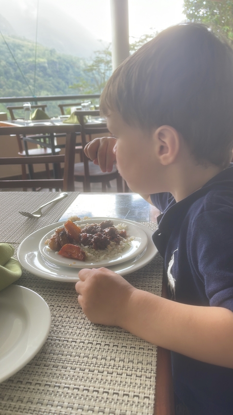       Child eating a plate of food at a restaurant.
  