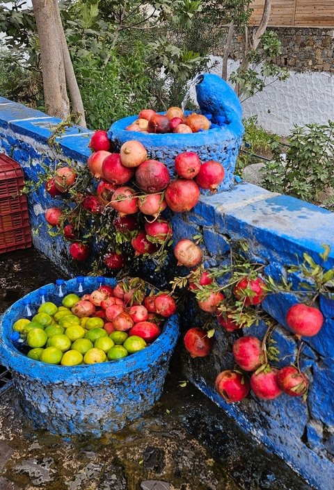 Fruits on a blue background, with pomegranates and lemons.