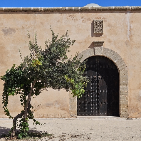 Stone facade with a wooden door and small tree.