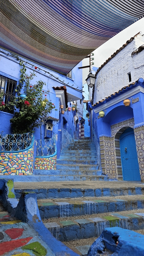       Beautiful blue-painted street with stairs and potted plants.
  