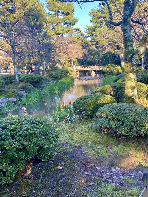       A serene Japanese garden with a small bridge over a pond.
  