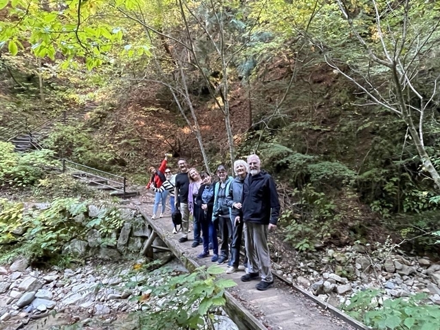       Group of people on a narrow wooden bridge in a lush forest.
  