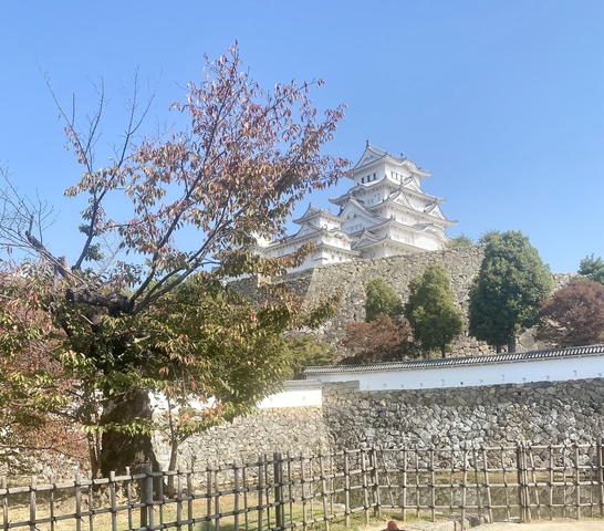       White castle on a hill with clear skies.
  