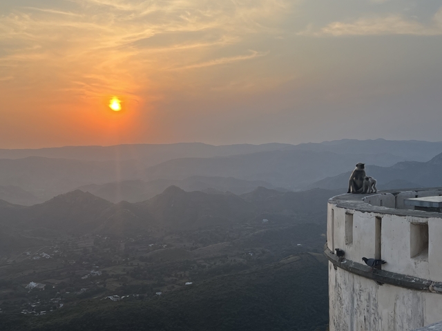 Monkeys sitting on a ledge overlooking a sunset and mountainous landscape.
