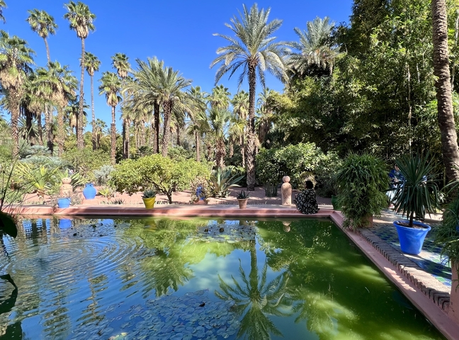 Lush garden with palm trees and a reflective pond.