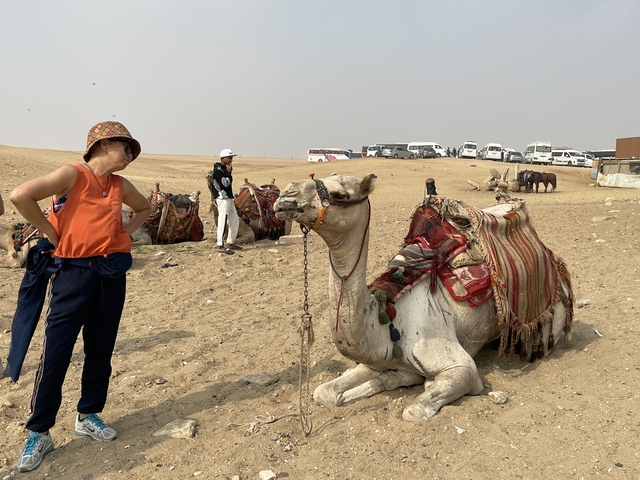       Person standing with a camel at Giza plateau
  