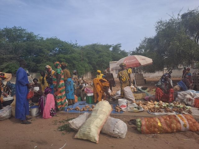       Outdoor market with people and various goods.
  