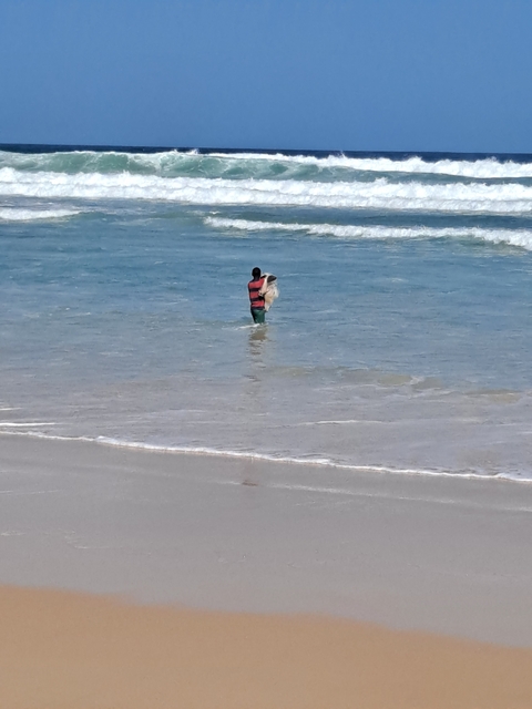       Person wading in the ocean with a net.
  