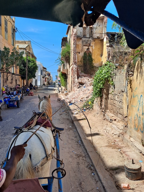       Horse-drawn carriage on a rustic street.
  